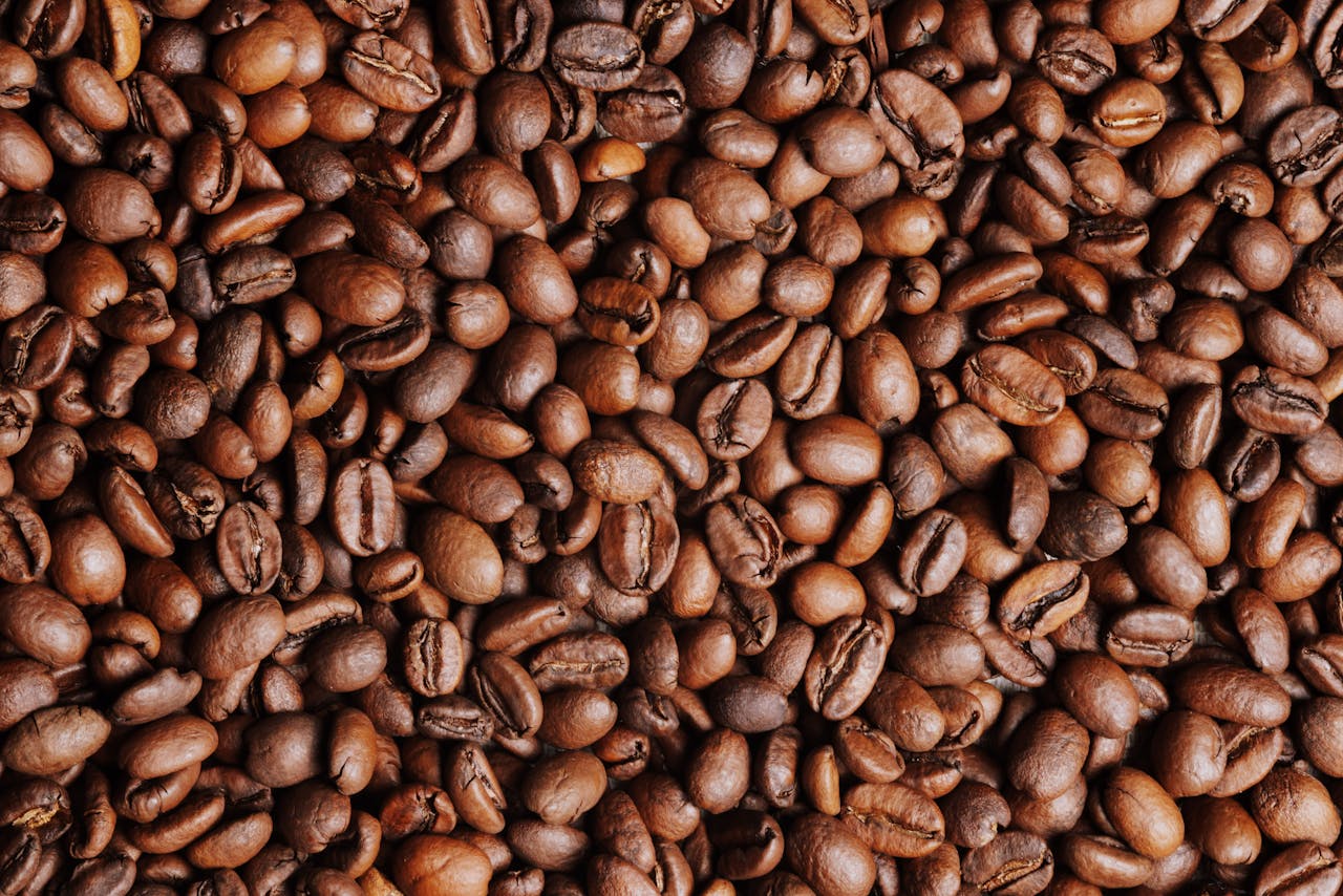 pexels photo 20708718.jpeg