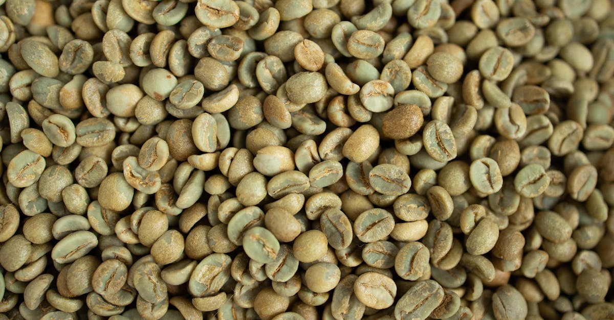 Green Coffee Beans Kovo Coffee